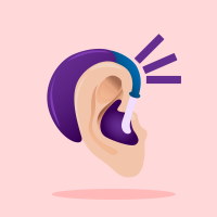 Hearing Aid and Hearing Implants Accessories
