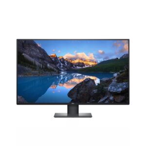 Dell U4320Q 42.5 inch IPS Monitor - IPS Panel